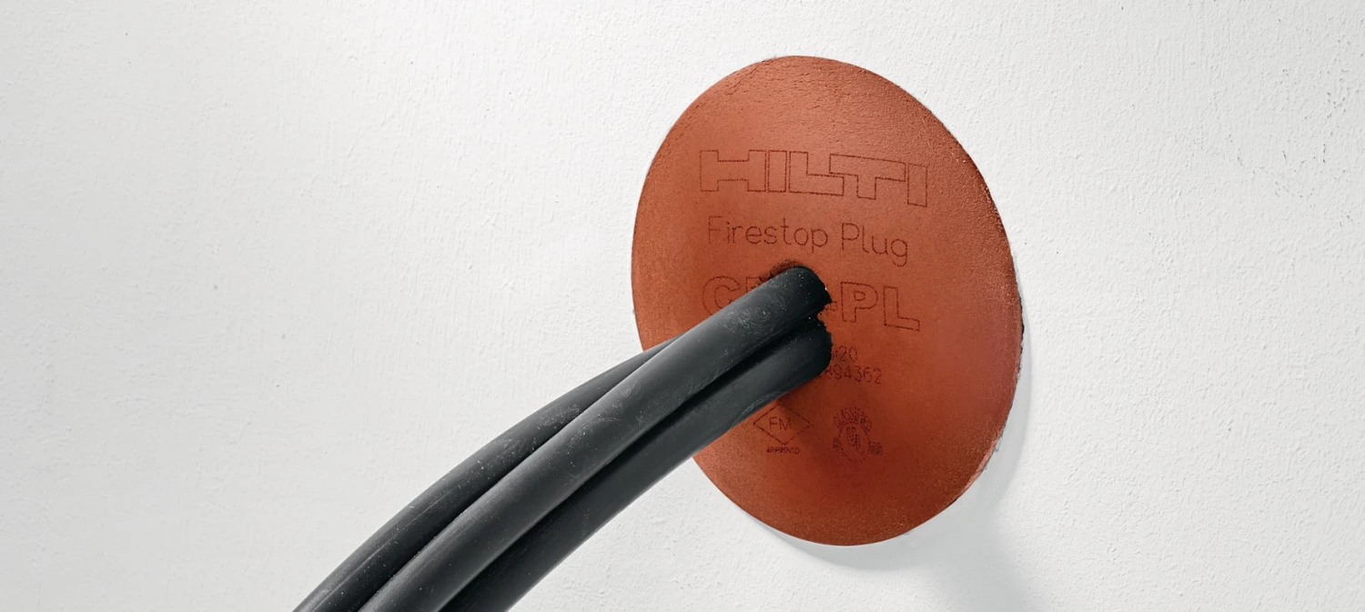 CFS-PL 2 CFS-PL – Image 2