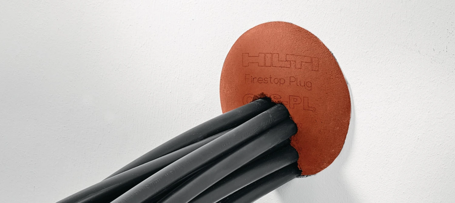 CFS-PL 4 CFS-PL – Image 4