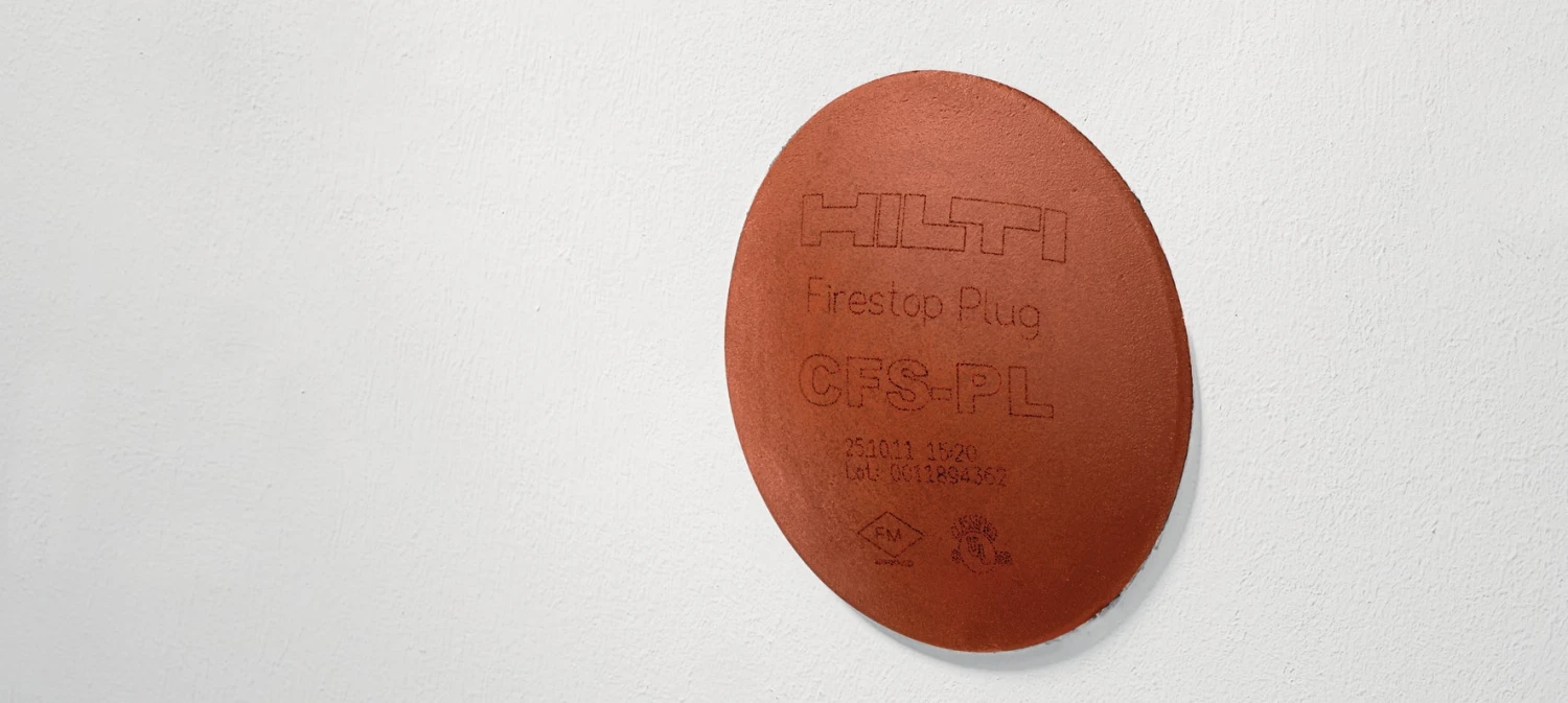 CFS-PL 3 CFS-PL – Image 3